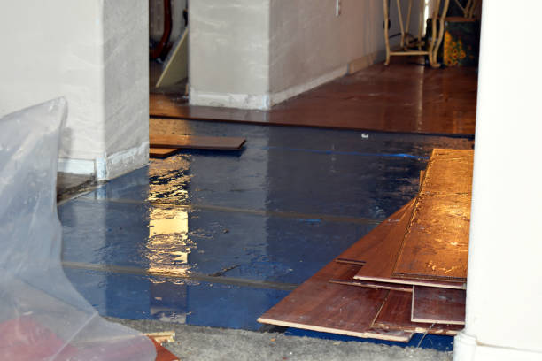 Professional Water Damage Restoration technician working in Lewisville, OH